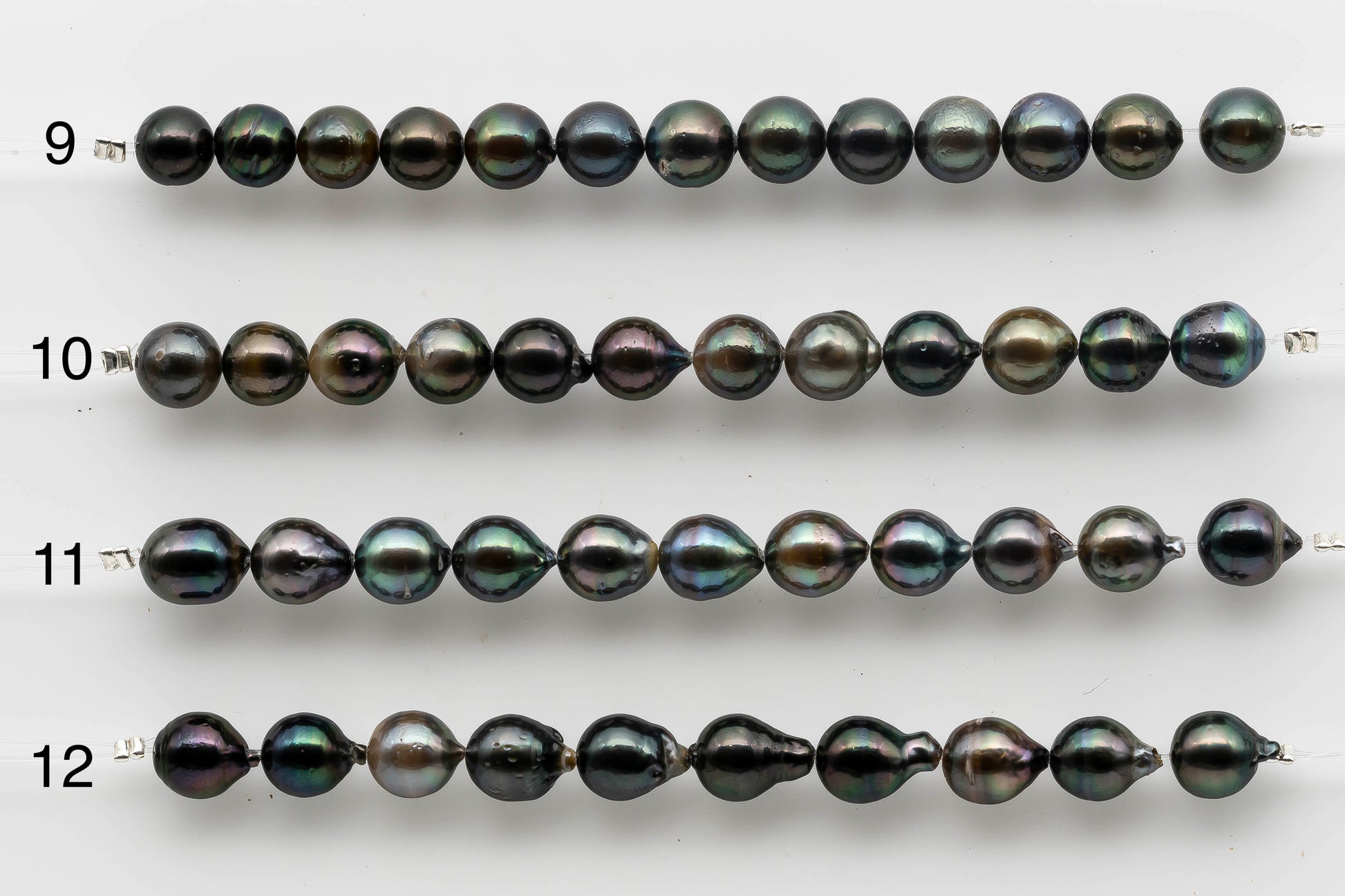 Tahitian Pearl Strand 7 to 12