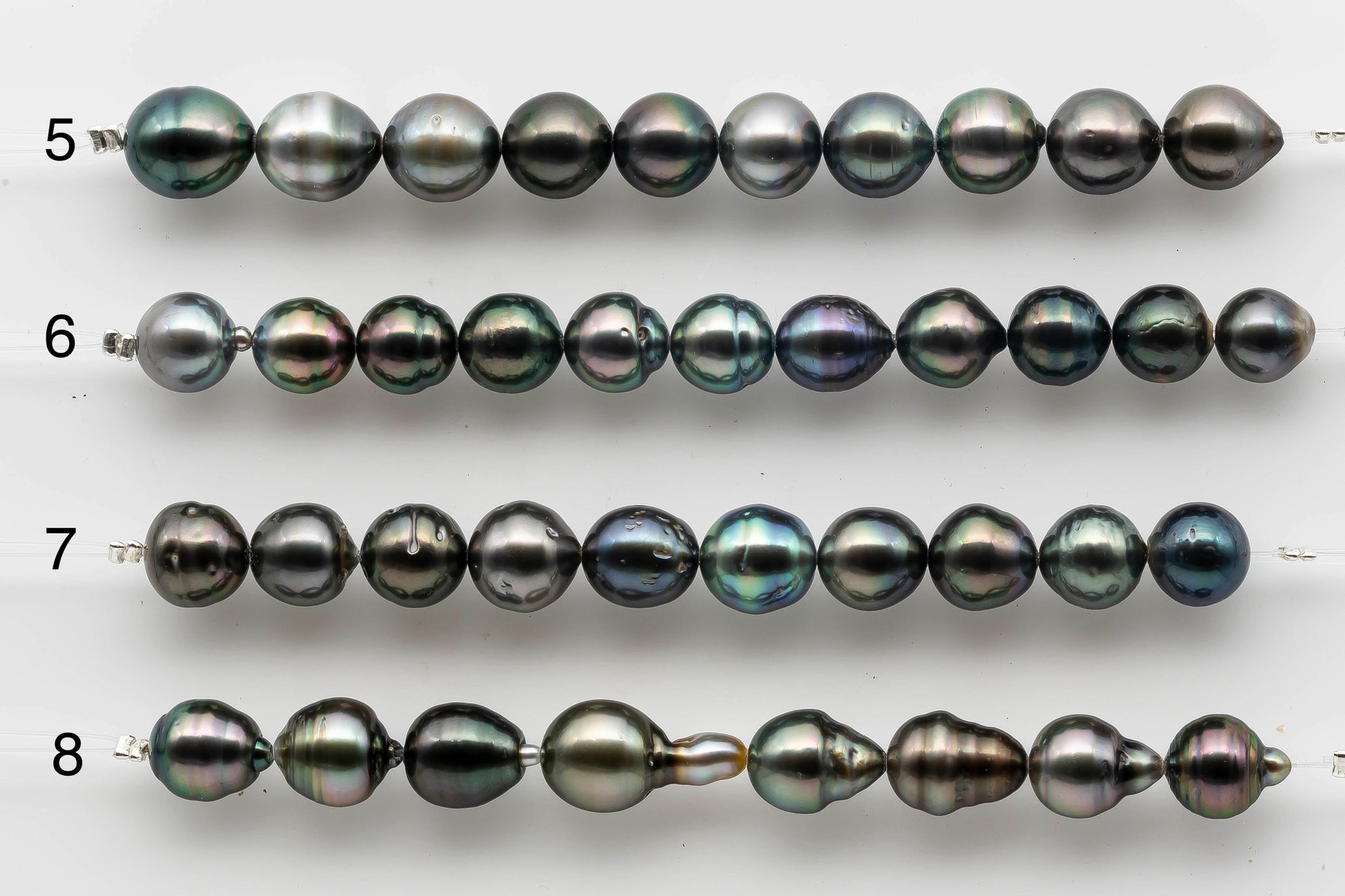 Tahitian Pearl Strand 5 to 6