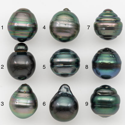 12-13mm Tahitian Pearl with Natural Color and Minor Blemishes, Loose Undrilled for Jewelry Making, SKU # 3377H