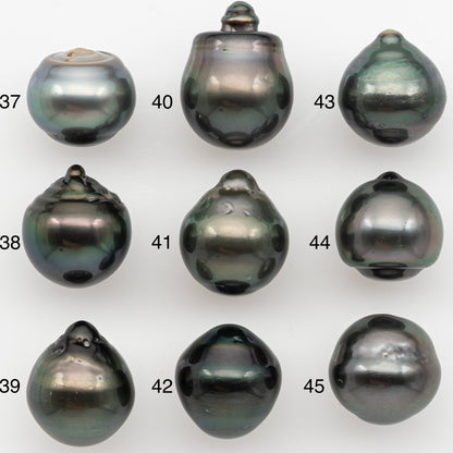12-13mm Tahitian Pearl with Natural Color and Minor Blemishes, Loose Undrilled for Jewelry Making, SKU # 3377H