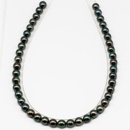 9-10mm Tahitian Pearl in Full Strand (No Hole) with Natural Color and High Luster, Temporarily Strung Pearl for Jewelry Making, SKU # 3381TH