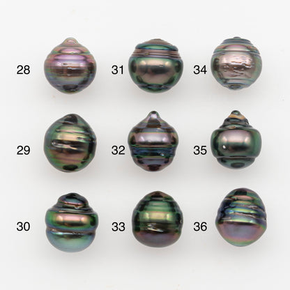 10-11mm Tahitian Pearl, Loose Undrilled with High Luster and Blemishes for Jewelry Making, SKU # 2889TH