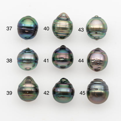 10-11mm Tahitian Pearl, Loose Undrilled with High Luster and Blemishes for Jewelry Making, SKU # 2889TH