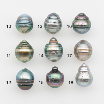 10-11mm Tahitian Pearl, Loose Undrilled with High Luster and Blemishes for Jewelry Making, SKU # 2894TH