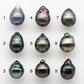 12-13mm Tahitian Pearl Drop with High Luster and Natural Color with Minor Blemishes, Loose Single Piece Undrilled, SKU # 1882TH