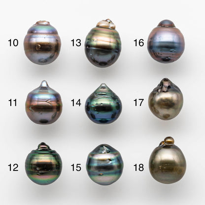 12-13mm Tahitian Pearl Baroque Teardrop Shape in Undrilled Loose Single Piece High Luster and Natural Color with Blemishes, SKU # 1884TH