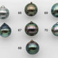 12-13mm Black Tahitian Pearl Near Round Single Loose Piece Undrilled in Natural Color with High Luster for Beading, SKU # 1248TH