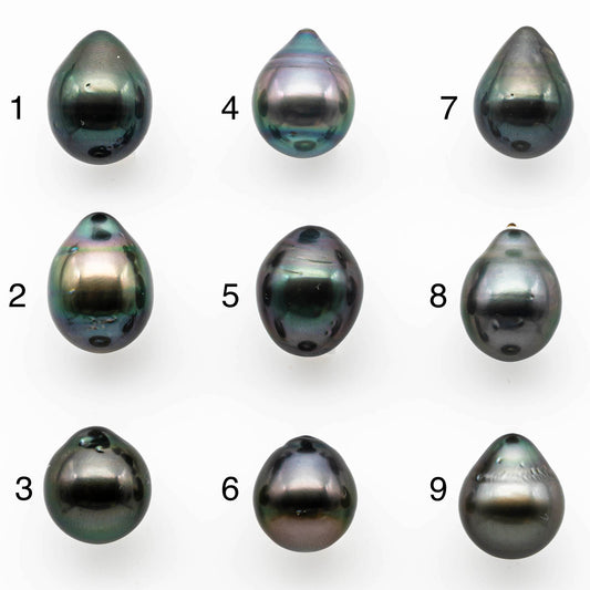 12-13mm Large Size Tahitian Pearl Tear Drop Single Piece Loose Undrilled with Natural Color and High Luster, SKU # 1401TH