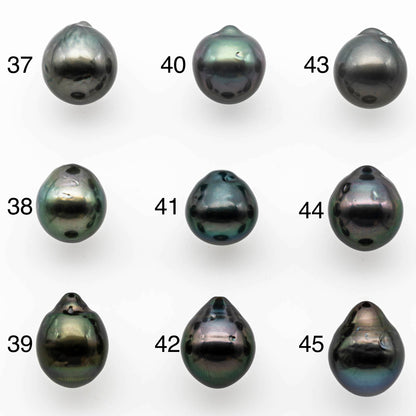 12-13mm Large Size Tahitian Pearl Tear Drop Single Piece Loose Undrilled with Natural Color and High Luster, SKU # 1401TH