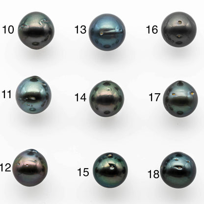 12-13mm Tahitian Pearl Near Round Loose Undrilled with Natural Colors and High Luster, Single Piece, SKU # 1398TH
