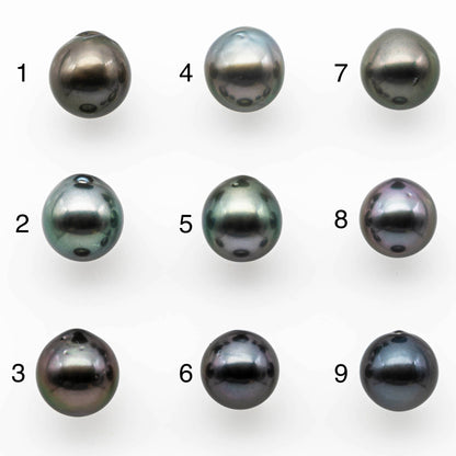 12-13mm Tahitian Pearl Near Round Nice Quality with Minor Blemish, Natural Color and High Luster Loose Undrilled Single Piece, SKU # 1402TH