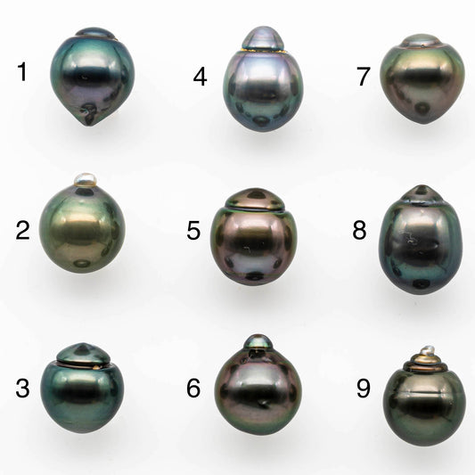 12-13mm Tahitian Pearl Teardrop Loose Undrilled with Natural Color and High Luster, One Piece, SKU # 1403TH