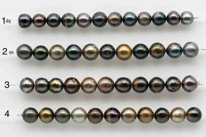 Tahitian Pearl in 4 inch strand round multicolor.