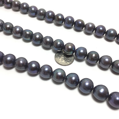 Near Round Pearls, 10.5-11.5mm Peacock Color Freshwater Pearls in 15.75 inches, NRD003