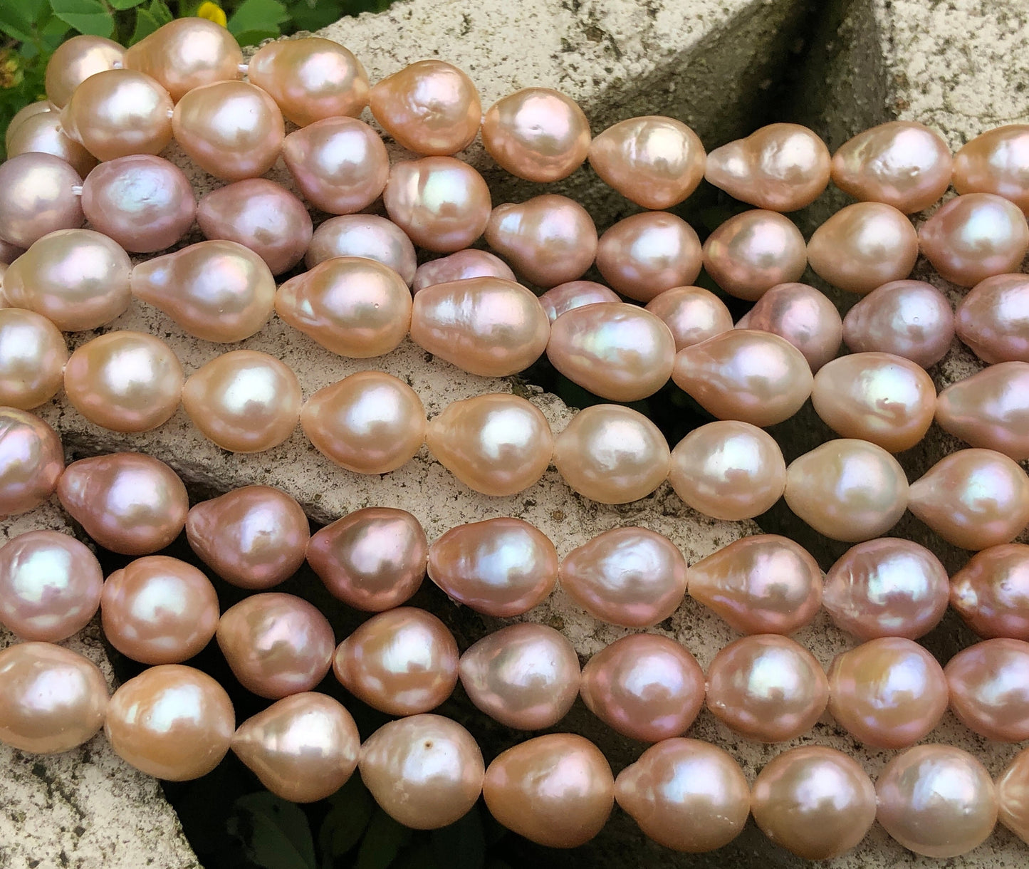 Freshwater Edison Pearl Strand