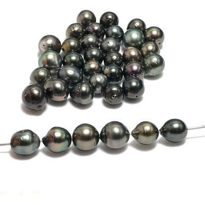 8-10mm Tahitian Pearls Semi Round, Original Hole or 2mm Hole, One Piece TAH001