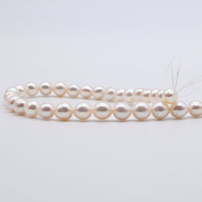 7.5-8mm Freshwater Pearls, Off Round Pearl Beads in White Color, Nice Luster in Full Strand SKU# NRD020
