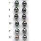 Loose Tahitian Pearls Pair 9.5-10mm Drop Shape with High Luster, Tear drop for Making Earring, Undrilled Pearls, SKU# LTH001