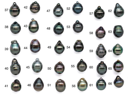 11mm Single Black Pearl Tear drops High Luster and Blemishes in Natural Color, One Piece Tahitian Undrilled Pearls, SKU# 1075TH