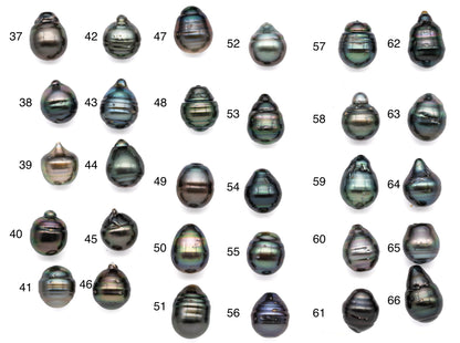 Single Black Pearl Natural Color Loose Teardrops with High Luster and Blemishes, One Piece Tahitian Undrilled Pearls 11-11.5mm, SKU# 1074TH