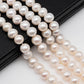 11-12mm Large Hole Pearls Near Round White Freshwater Pearl Beads with 2mm Hole in 8 inch Strand for Jewelry Marking, SKU # 1131FW