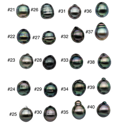 One Piece Black Tahitian Pearl Near Round or Teardrops Peacock Single Undrilled Loose Pearls with High Luster in 11-11.5mm, SKU # 1128TH