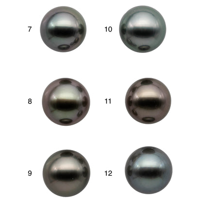 10mm Round Tahitian Pearl Loose Single Piece Natural Color with Super Nice Luster, AAA Quality Front Side Very Smooth and Clean, SKU#1090TH