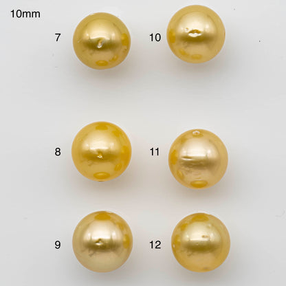 10-11mm Golden South Sea Pearl Round or Near Round Single Piece Fully Drilled for Jewelry Making, SKU # 1188GS