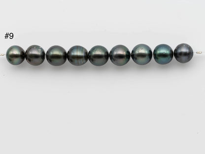 11-12mm Round Tahitian Pearl Dark Natural Colors and High Luster in Short Strands for Beading or Jewelry Making, SKU # 1252TH