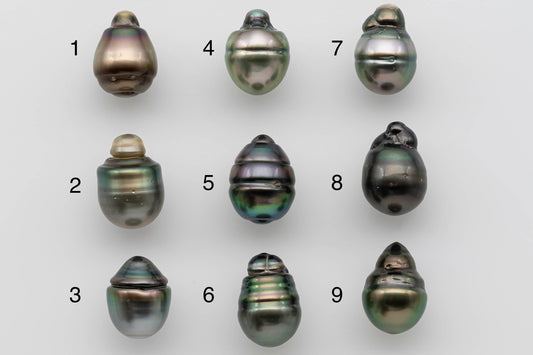 12-13mm One Piece Tahitian Pearl Loose Undrilled in Natural Color 