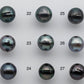 10-11mm Single Piece Tahitian Pearl Near Round in Natural Colors and High Lusters with Blemish, Predrilled Hole, SKU # 1395TH