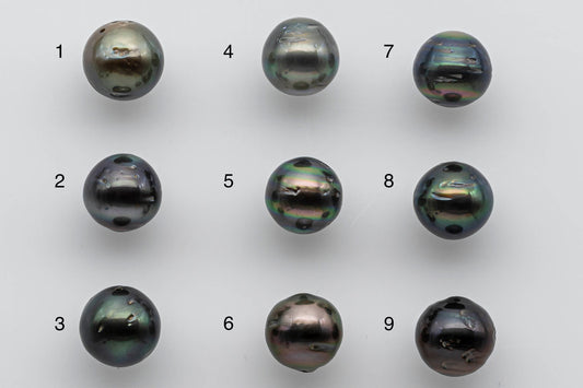 10-11mm Tahitian Pearl Loose Near Round with Luster and Blemish, Predrilled Hole, SKU # 1393TH