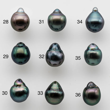 8-9mm Peacock Tahitian Pearl Teardrop Loose Undrilled Natural Color with Super Nice Luster and Blemishes, SKU # 1467TH