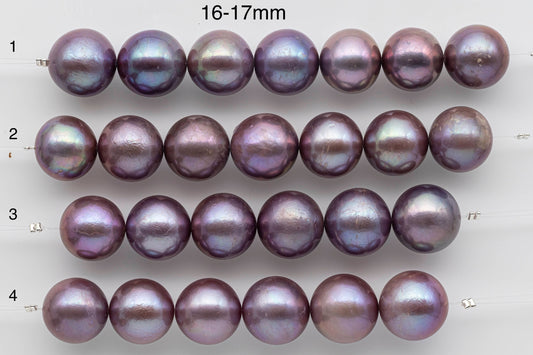 Freshwater Edison Pearl Strand