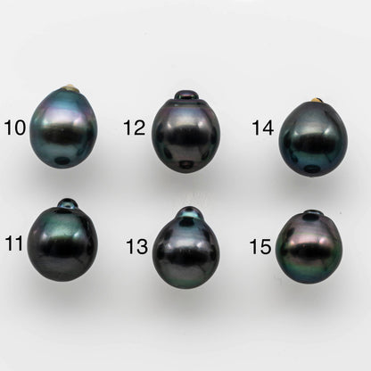 11-12mm Amazing Tahitian Pearl Drop Shape in Loose Single Piece High Luster and Natural Color, SKU # 1501TH