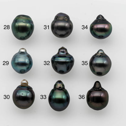 10-11mm Tahitian Pearl Baroque Teardrop Shape in Undrilled Loose Single Piece High Luster and Natural Color with Blemishes, SKU # 1489TH