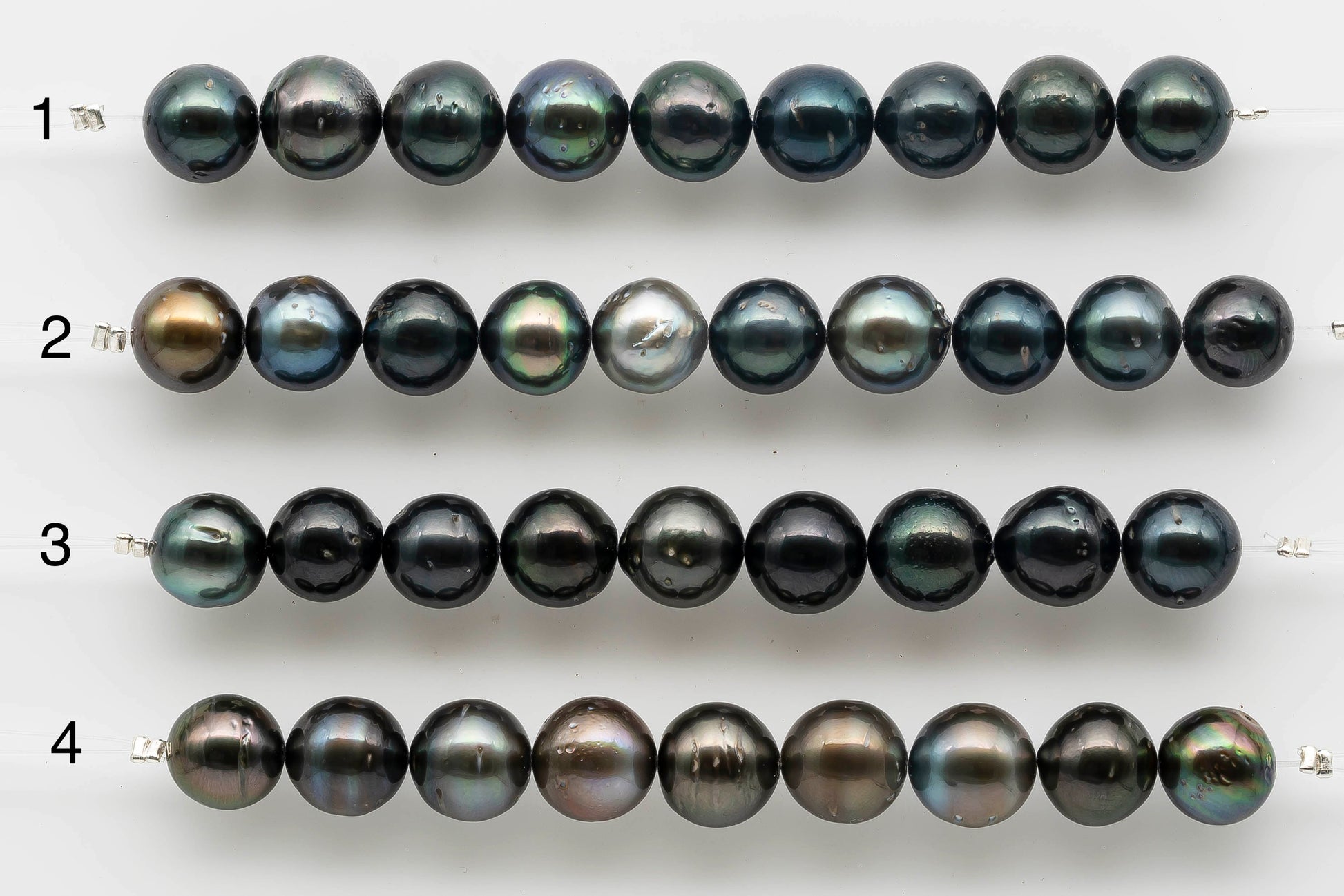 Tahitian Pearl in 4 inch strand round shape.